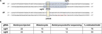 Production of CFTR-ΔF508 Rabbits